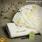 Butter Blend - High End (Bundle Offer) 3 Boxes Of 36 Suits